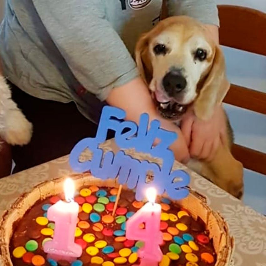 Lee más sobre el artículo Tiza