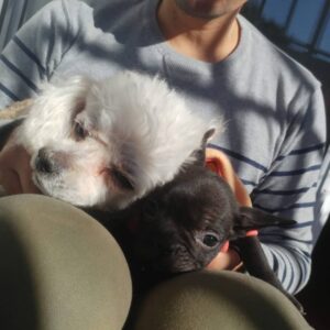 Lee más sobre el artículo Flora