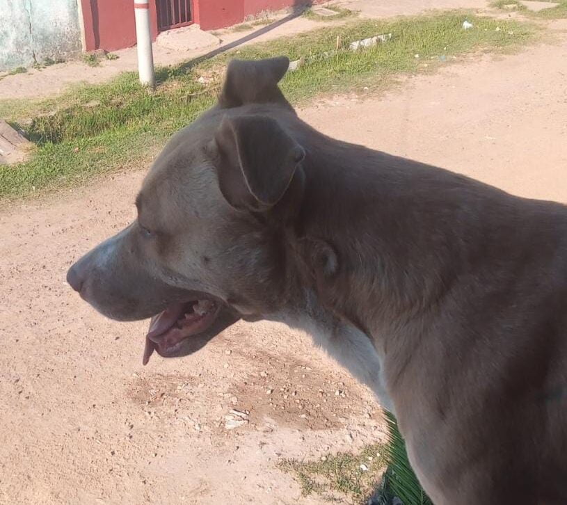 Lee más sobre el artículo Rayo