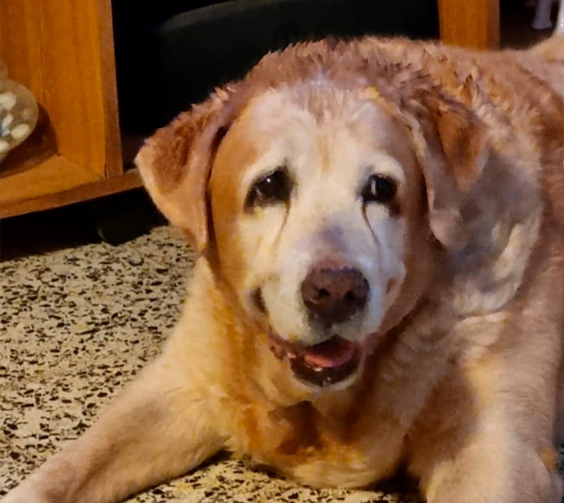 Lee más sobre el artículo Olivia