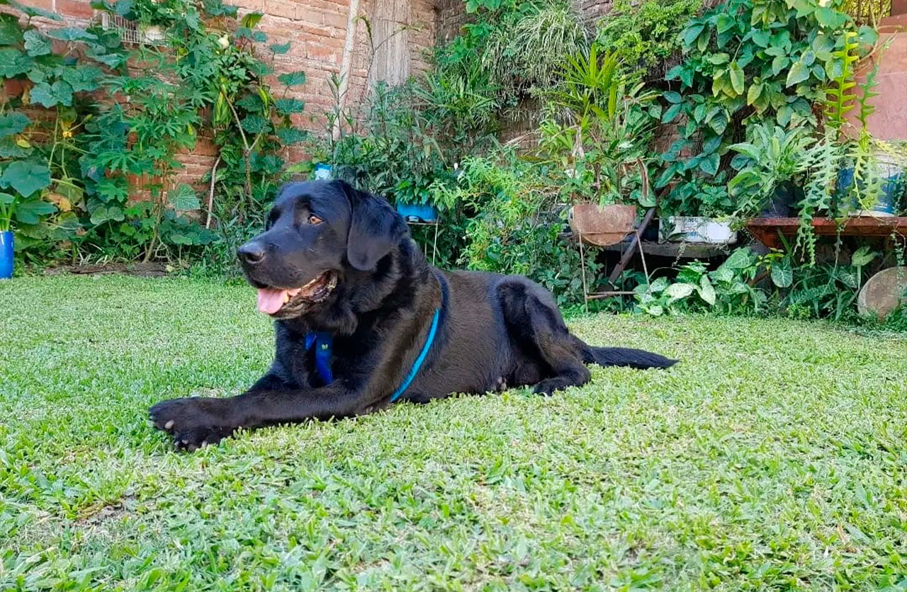 Lee más sobre el artículo Carbón