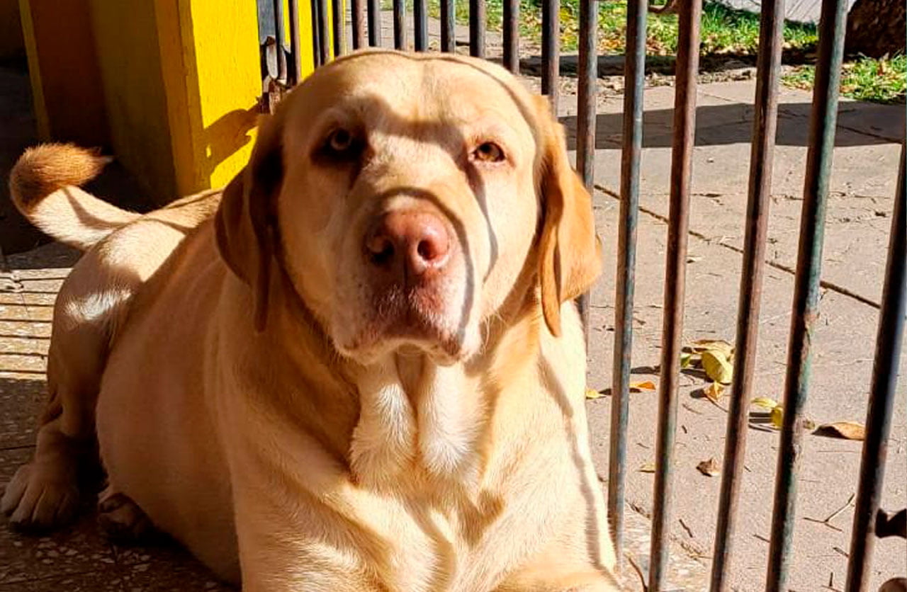 Lee más sobre el artículo Tina