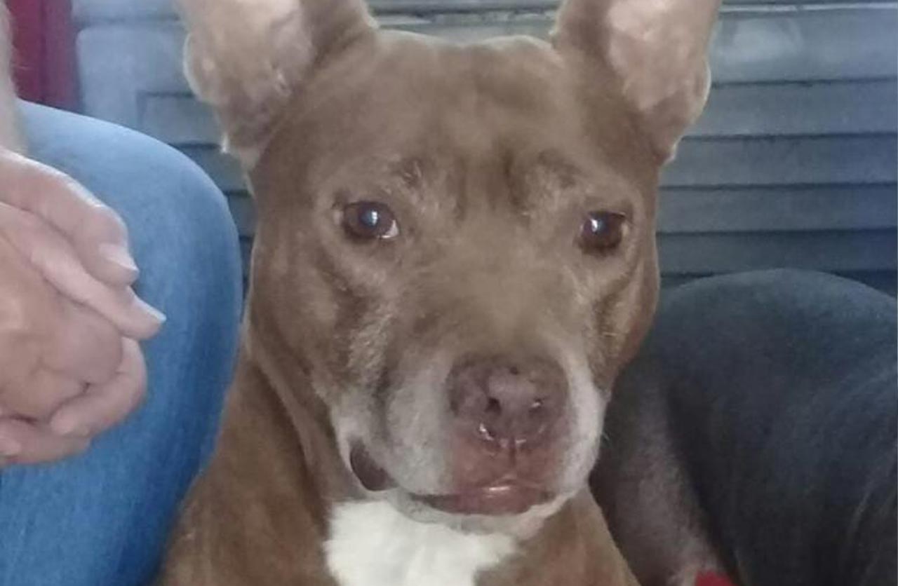 Lee más sobre el artículo Fiona