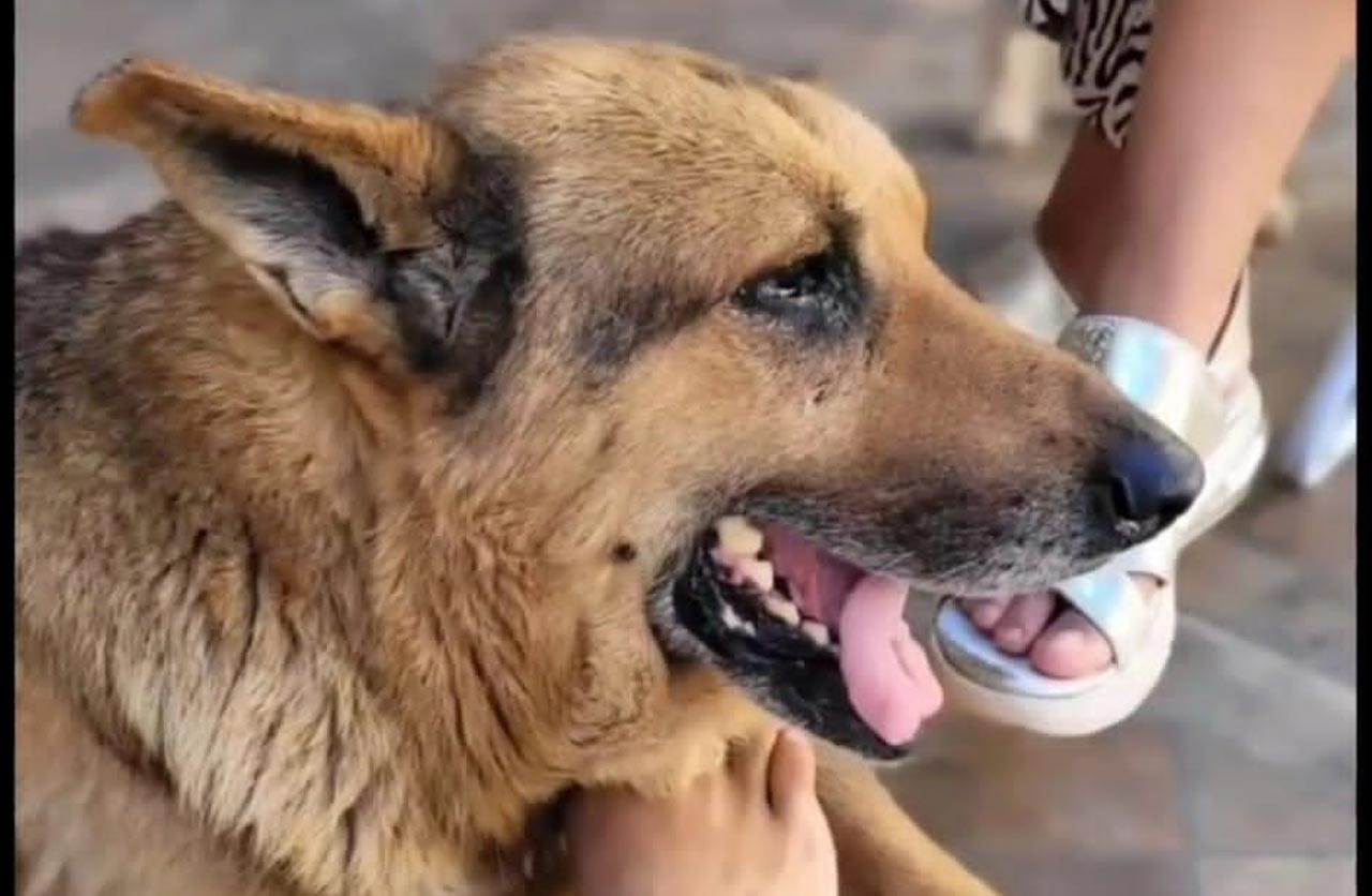 Lee más sobre el artículo Murci