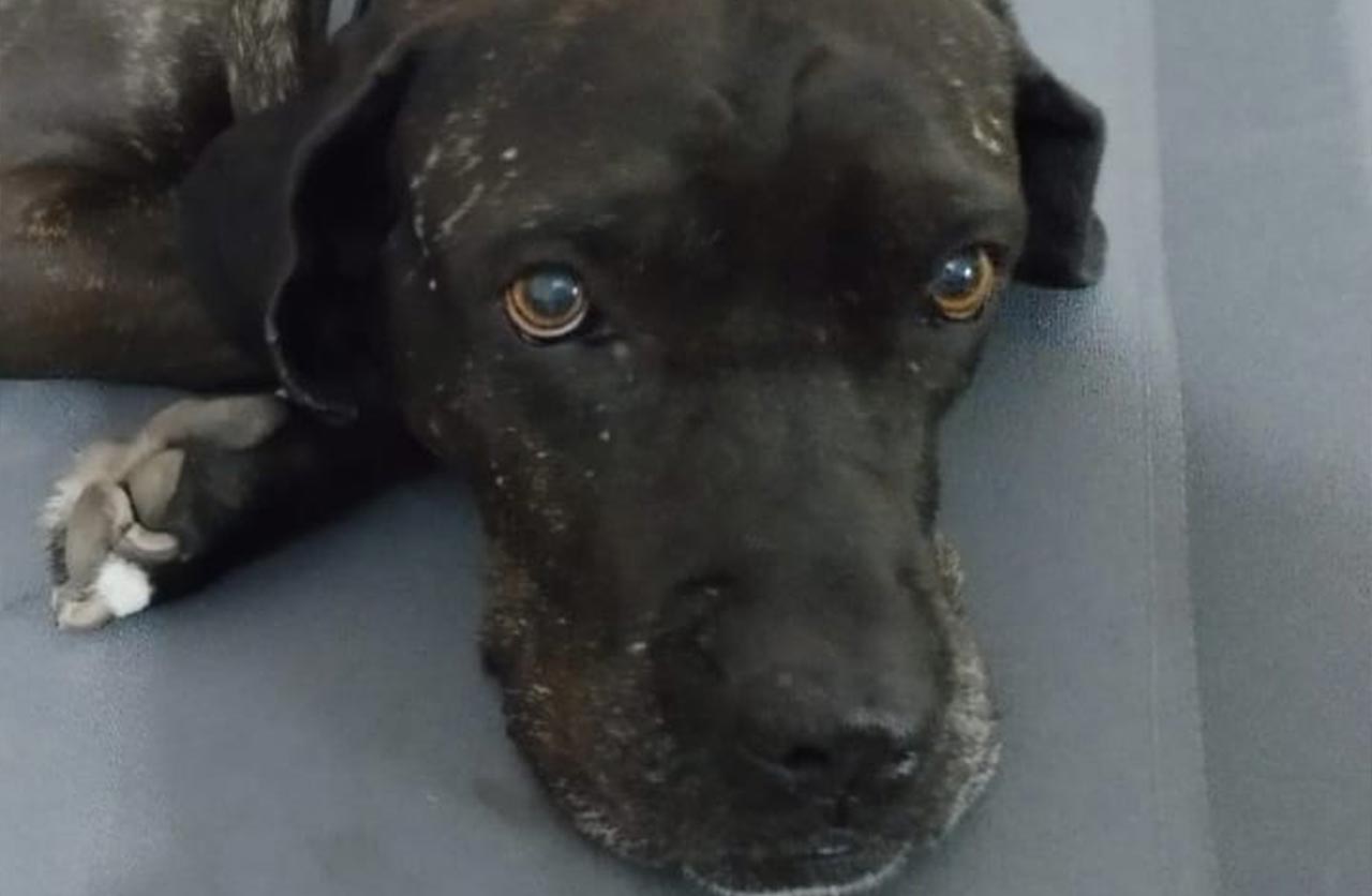 Lee más sobre el artículo Mora