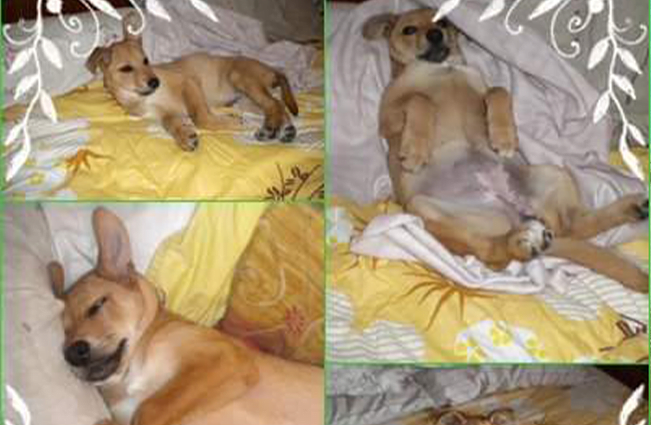 Lee más sobre el artículo Bianka