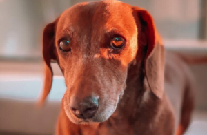 Lee más sobre el artículo MORITA