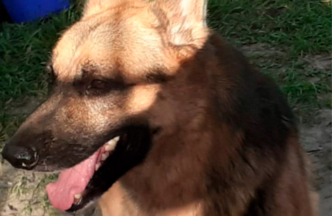 Lee más sobre el artículo Jack