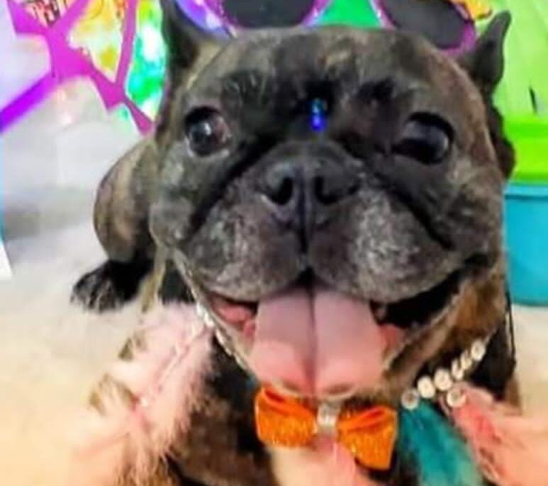 Lee más sobre el artículo Catalina