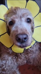 Lee más sobre el artículo Lupita