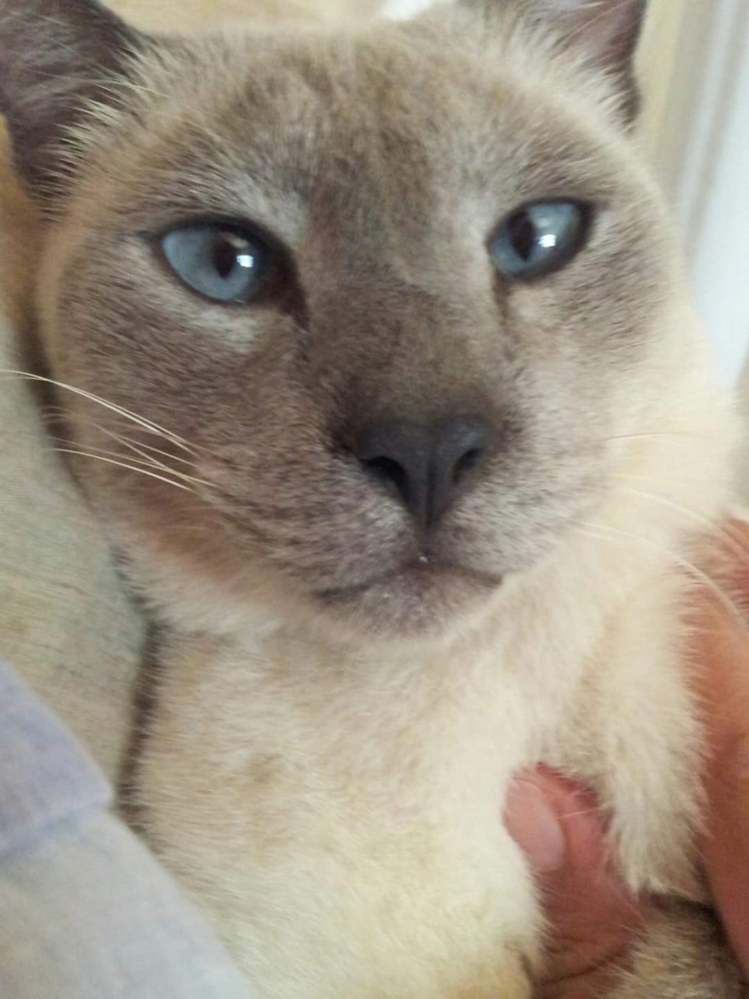 Lee más sobre el artículo Marquitos