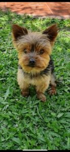 Lee más sobre el artículo Camilo