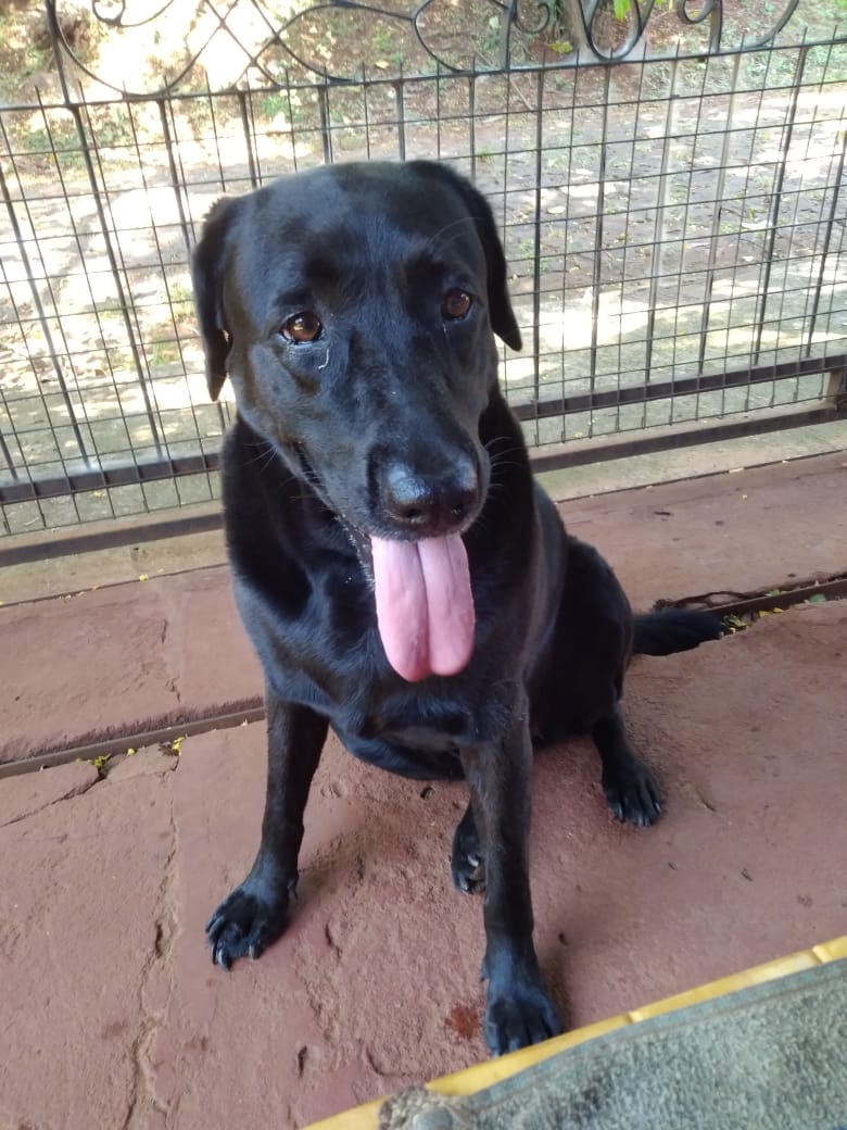 Lee más sobre el artículo Kyra