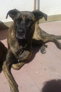 Lee más sobre el artículo Mika