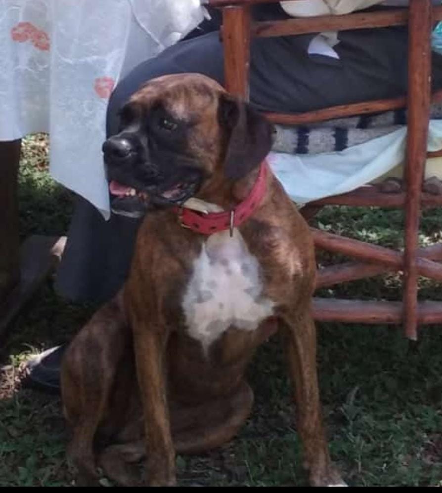 Lee más sobre el artículo Kenia