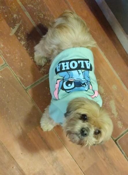 Lee más sobre el artículo Luna