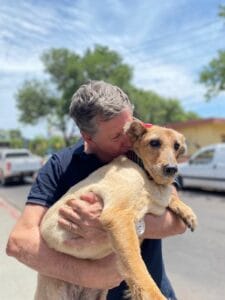 Lee más sobre el artículo Polly