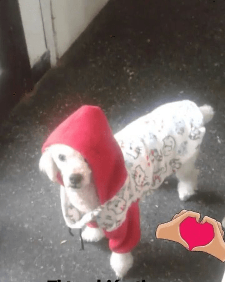 Lee más sobre el artículo Bruni