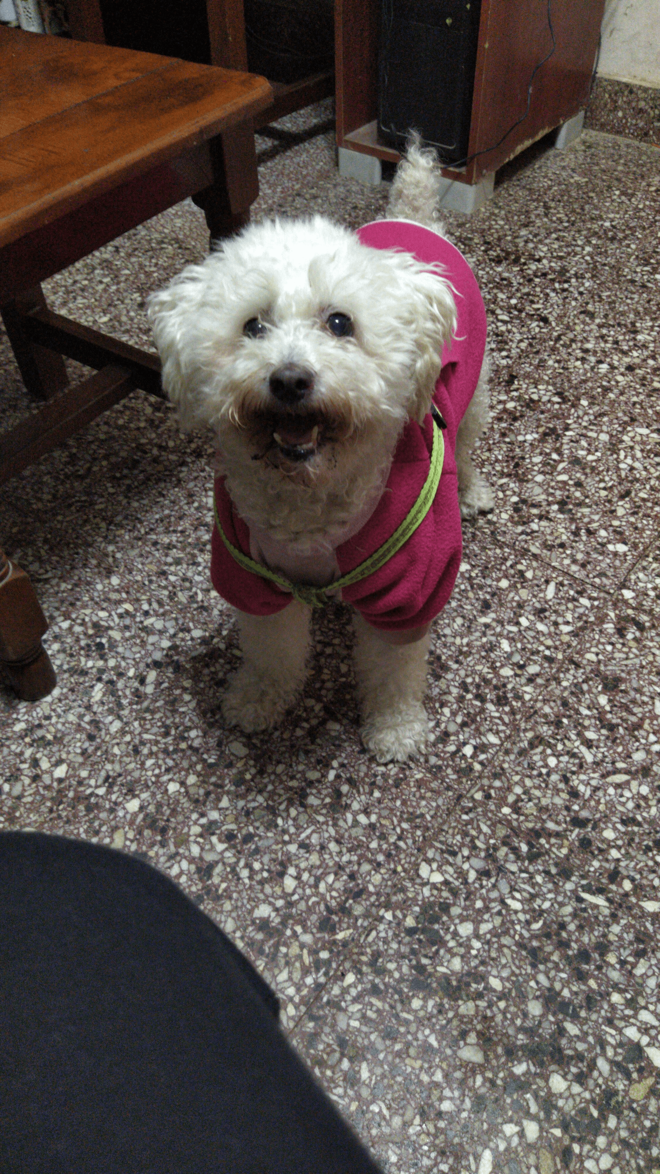 Lee más sobre el artículo MIA