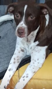 Lee más sobre el artículo India