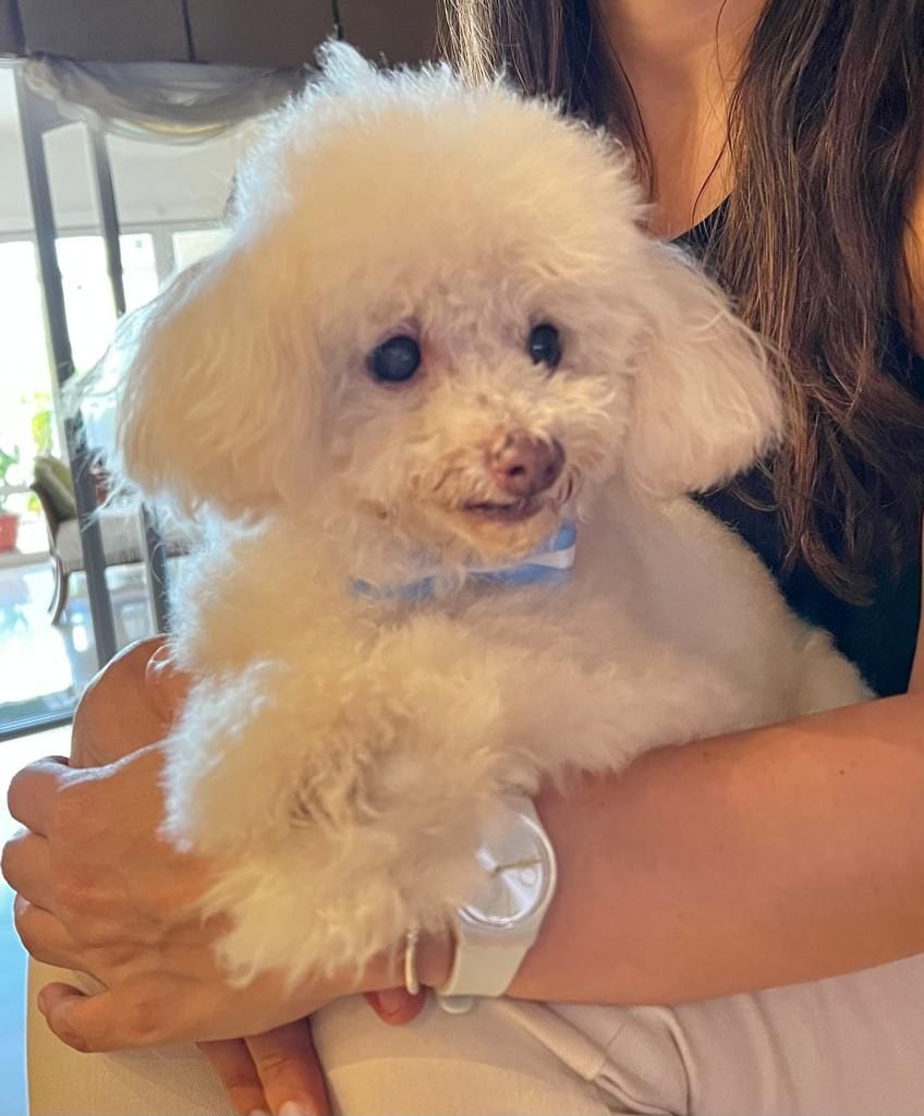 Lee más sobre el artículo Solcito