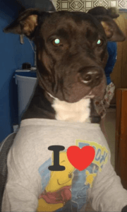 Lee más sobre el artículo Ambhar