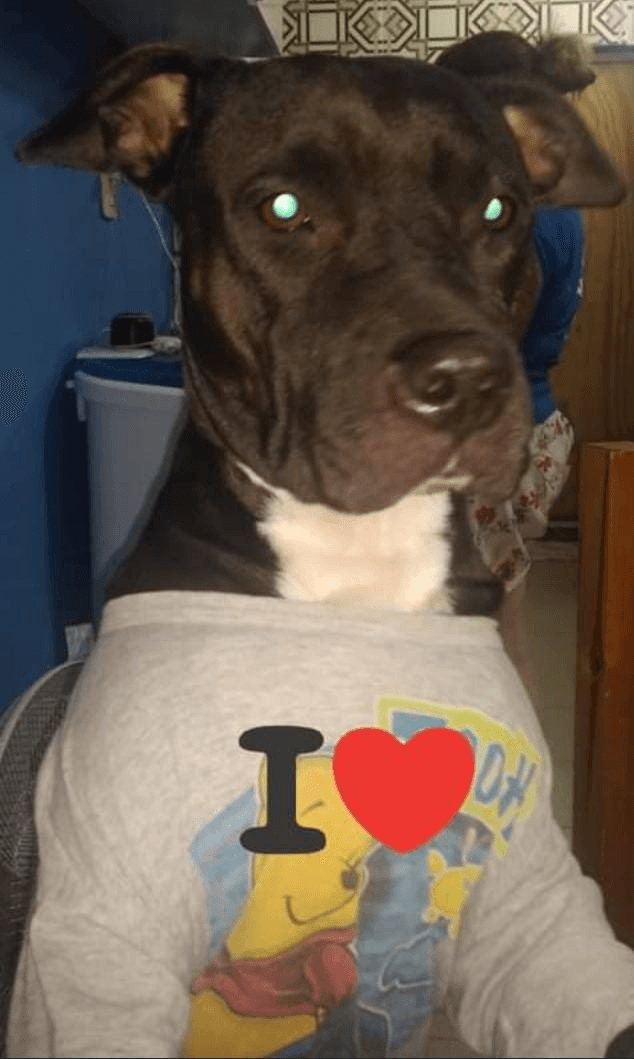 Lee más sobre el artículo Ambhar