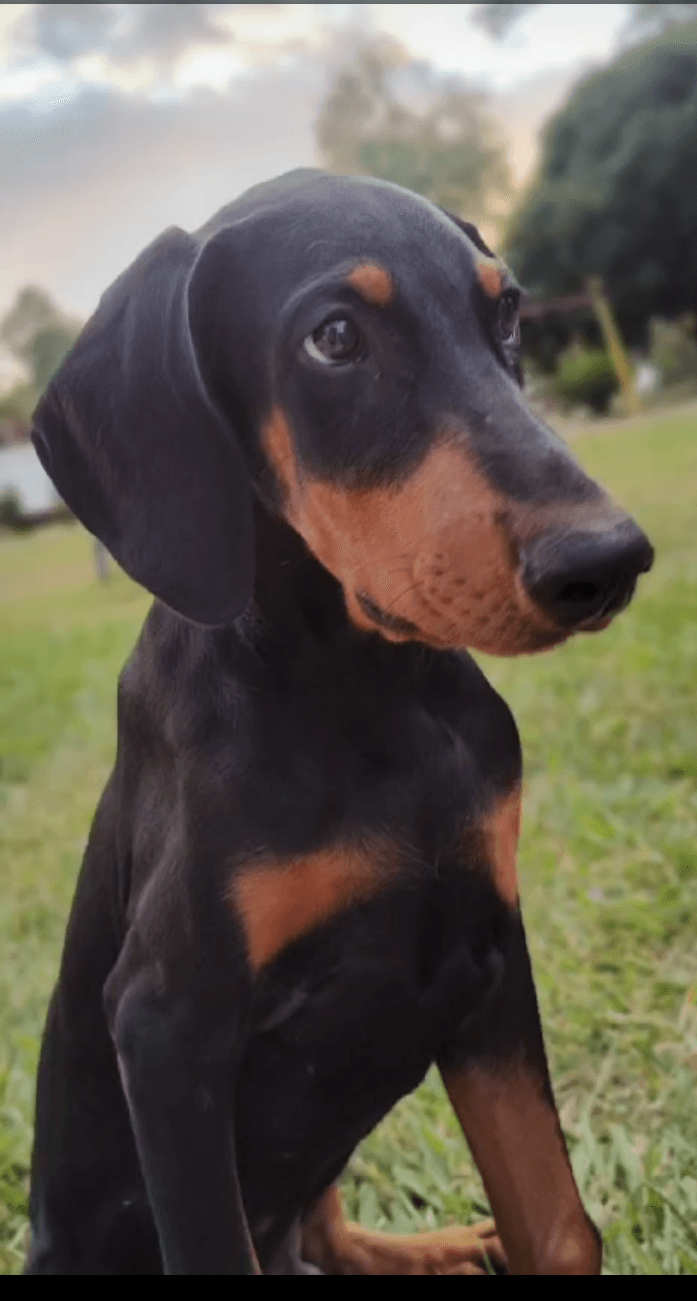 En este momento estás viendo Jack