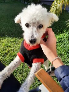 Lee más sobre el artículo Teo