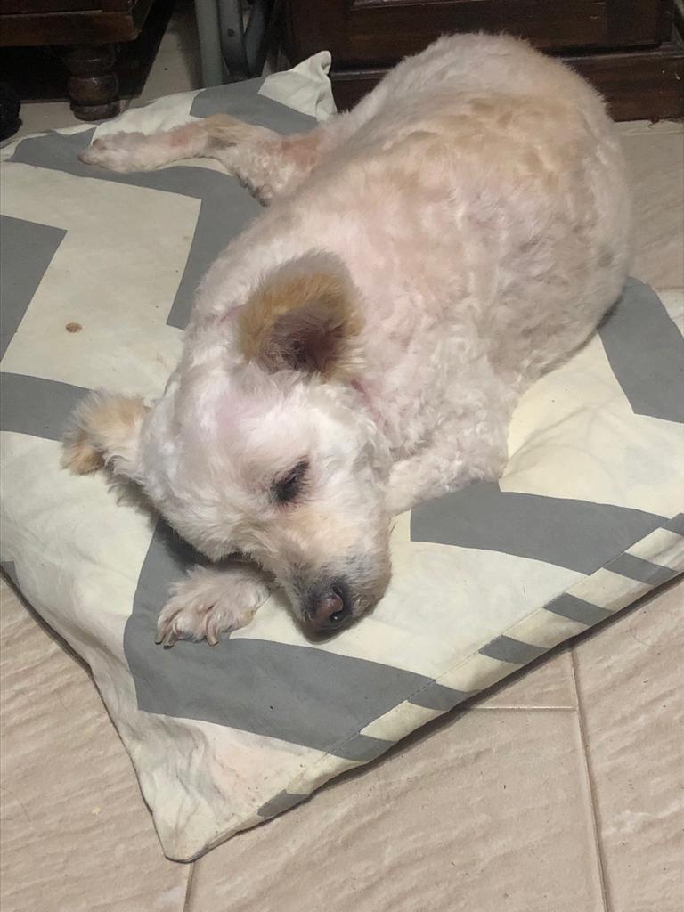 Lee más sobre el artículo Azul