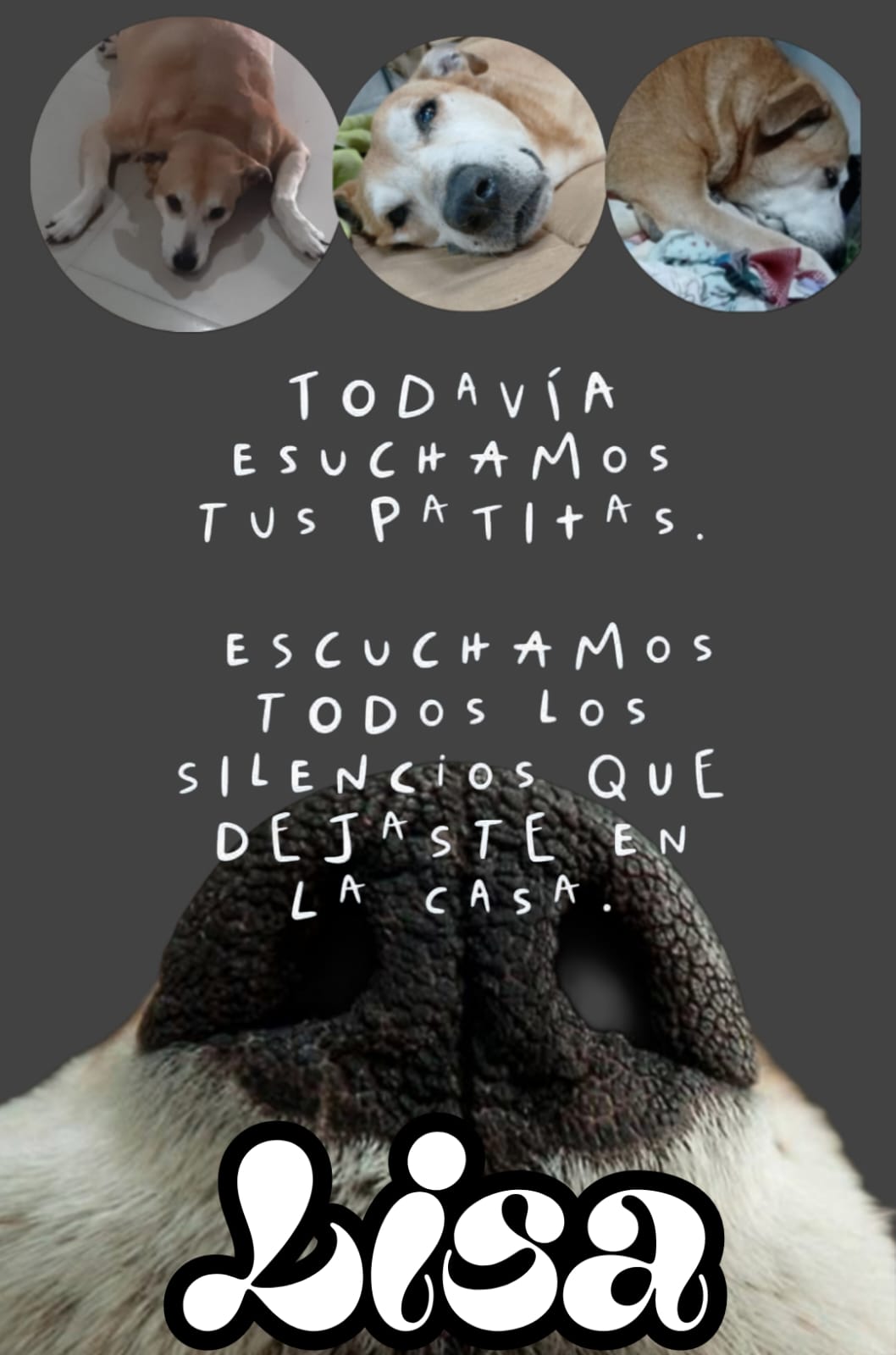 Lee más sobre el artículo Lisa