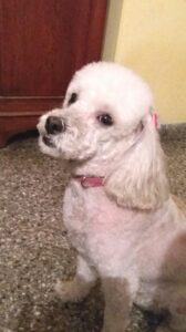 Lee más sobre el artículo Huma