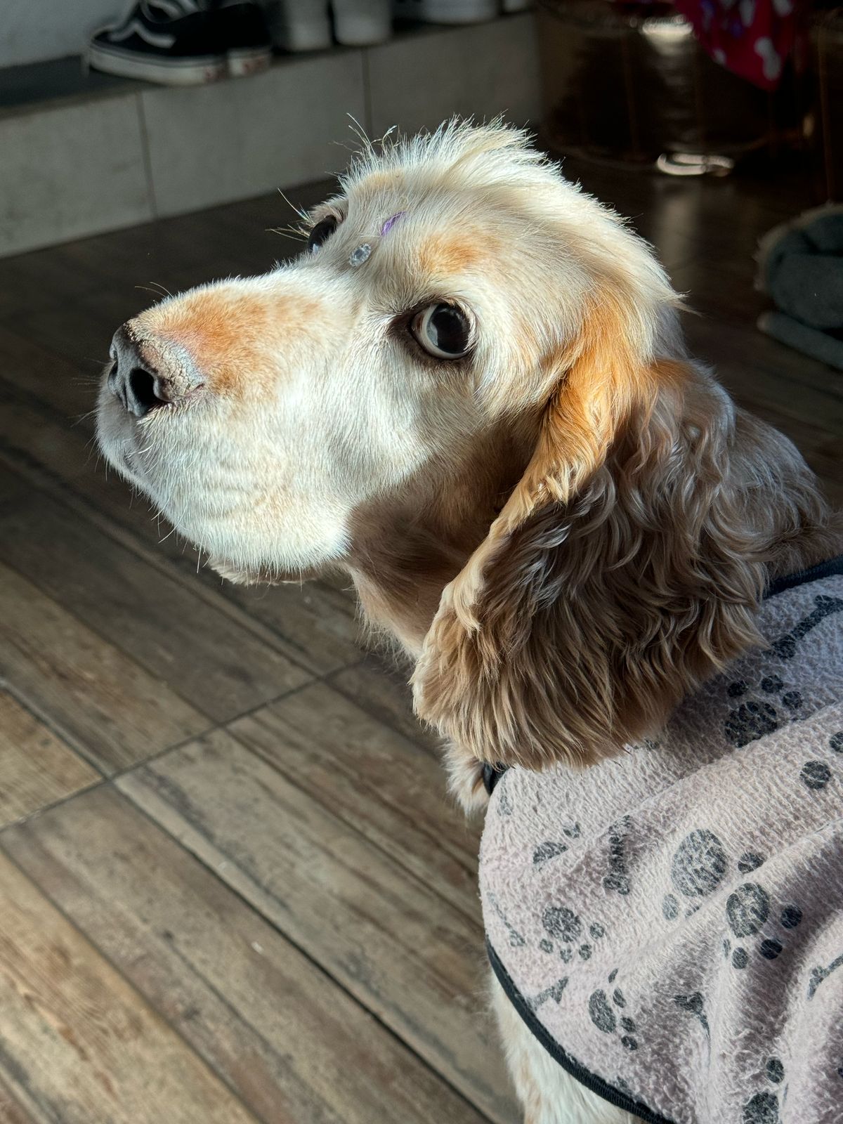 Lee más sobre el artículo Sol Provasi