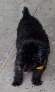 Lee más sobre el artículo Bony