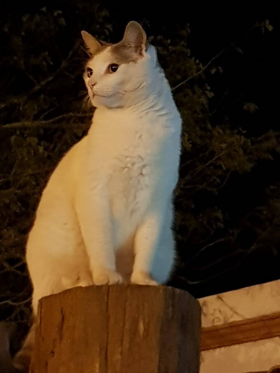 Lee más sobre el artículo Clemente