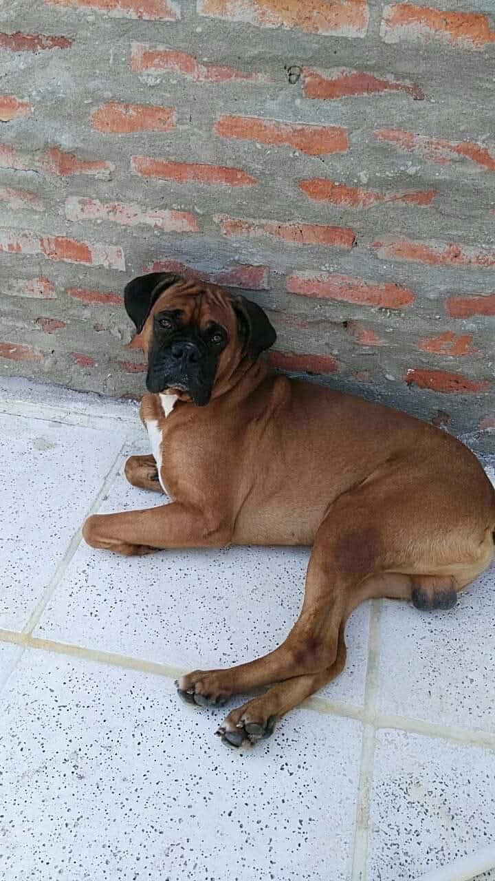 Lee más sobre el artículo Teófilo