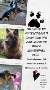 Lee más sobre el artículo Drako