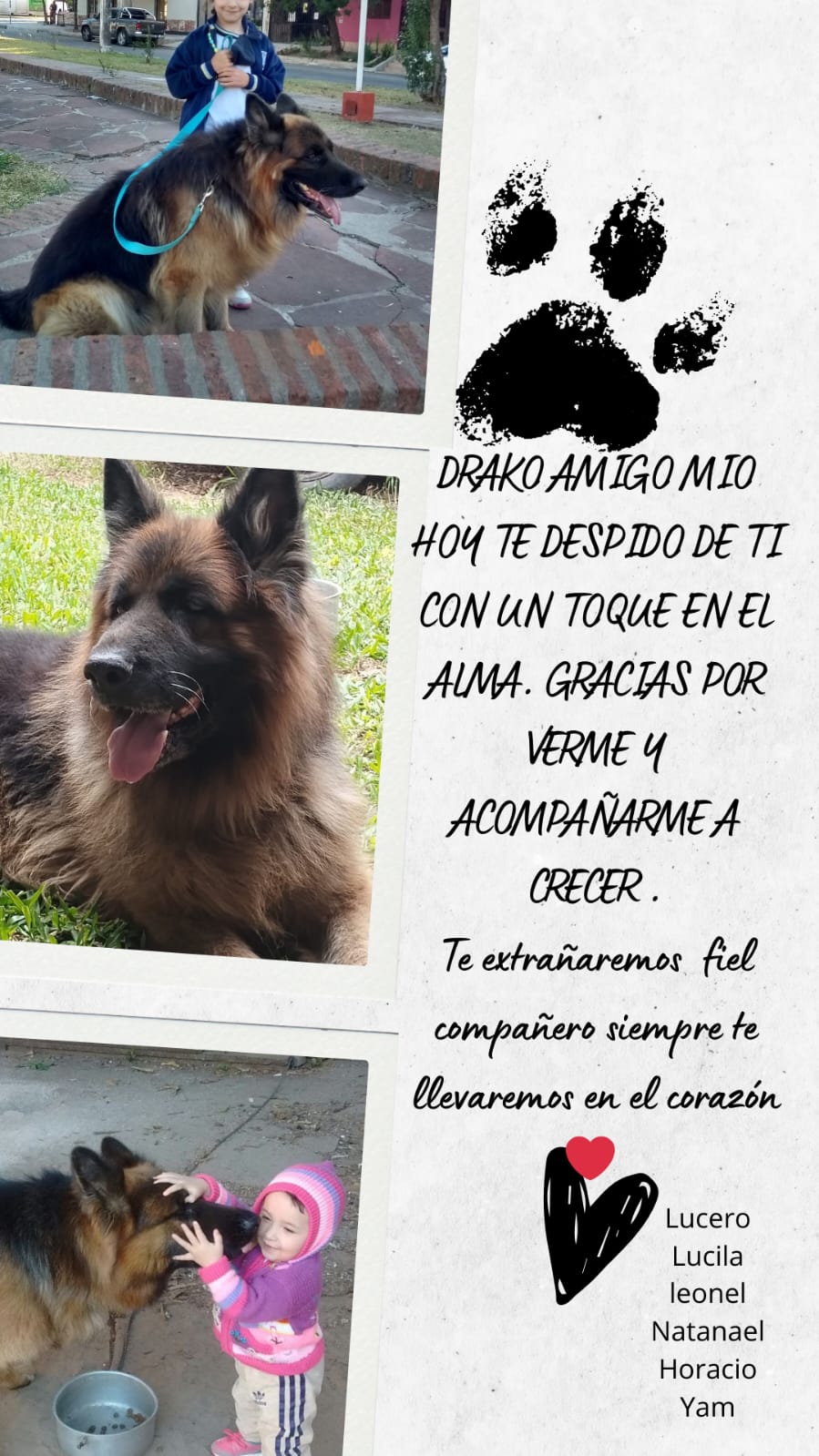 Lee más sobre el artículo Drako