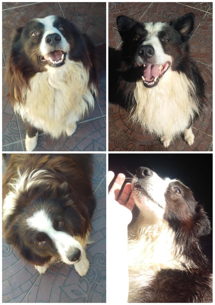 Lee más sobre el artículo Homero