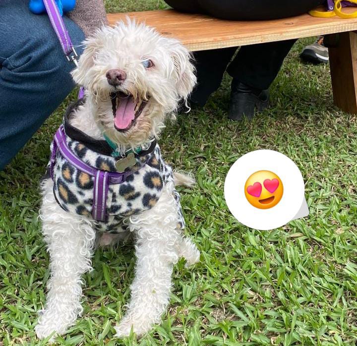 Lee más sobre el artículo Luki