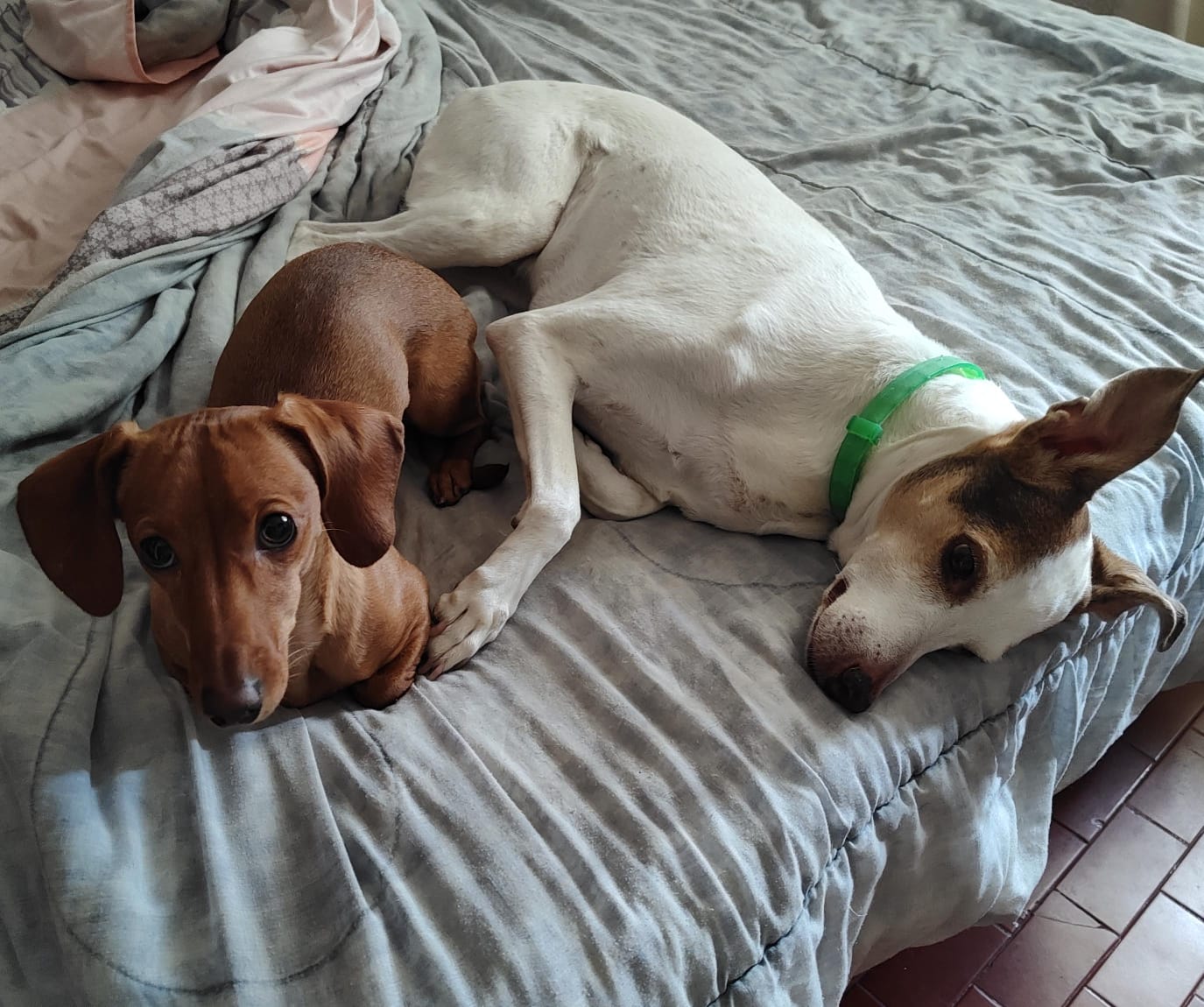 Lee más sobre el artículo KYRA