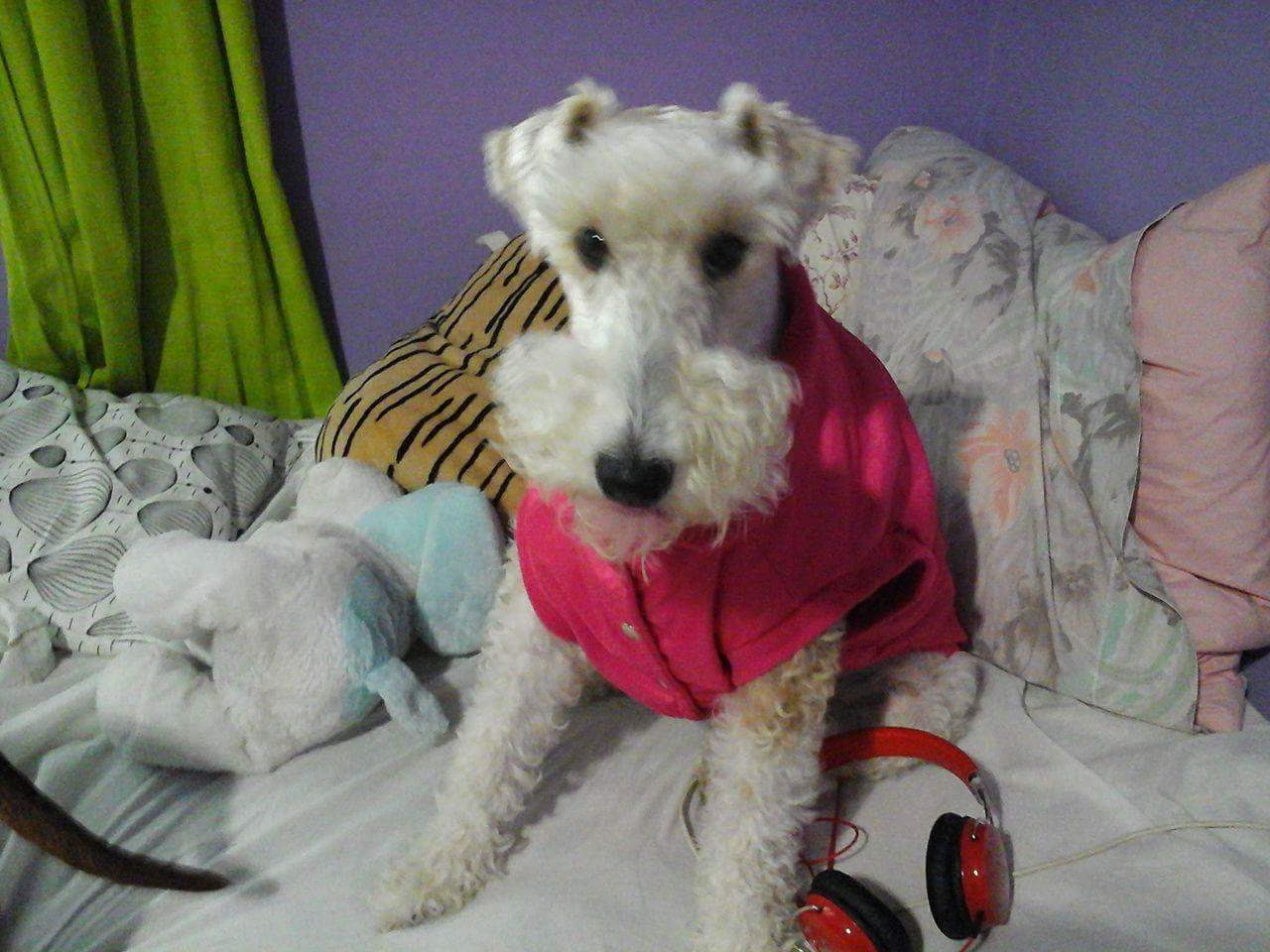 Lee más sobre el artículo Malena