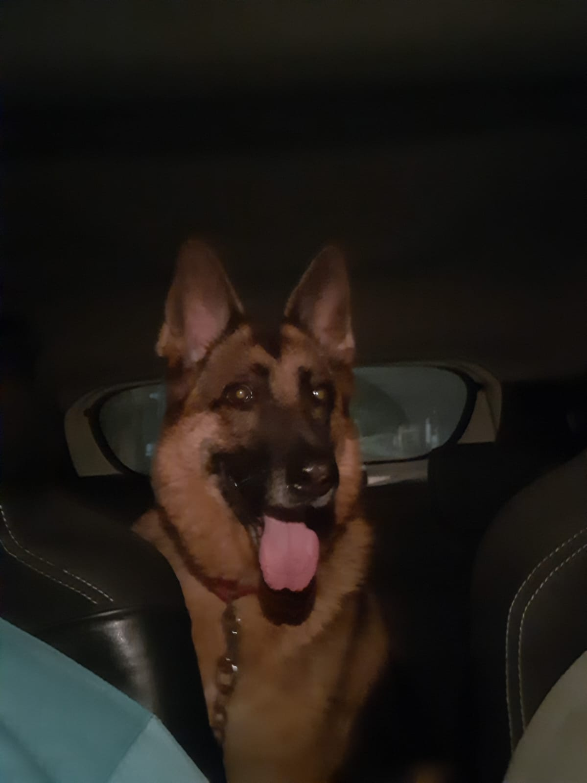 Lee más sobre el artículo NADID