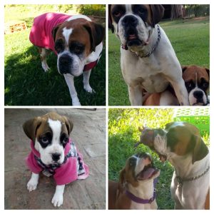 Lee más sobre el artículo Almita