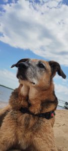 Lee más sobre el artículo Nerón