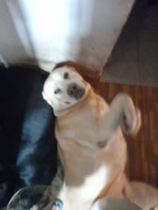 Lee más sobre el artículo MATILDA