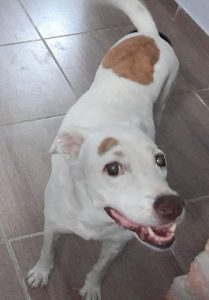 Lee más sobre el artículo Galatea