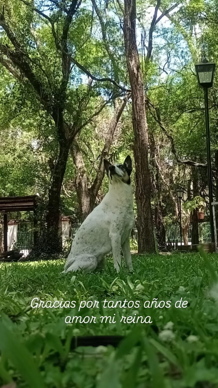 Lee más sobre el artículo Bahia