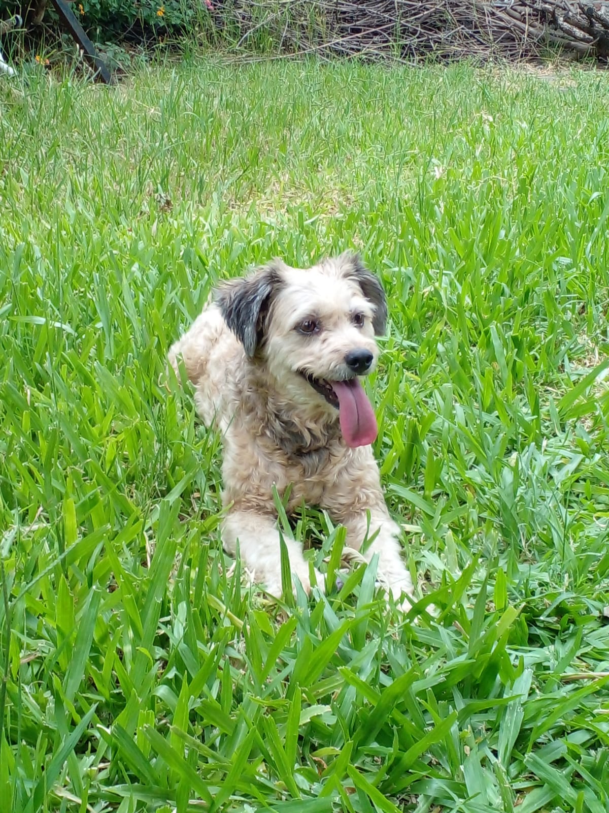 Lee más sobre el artículo Maly