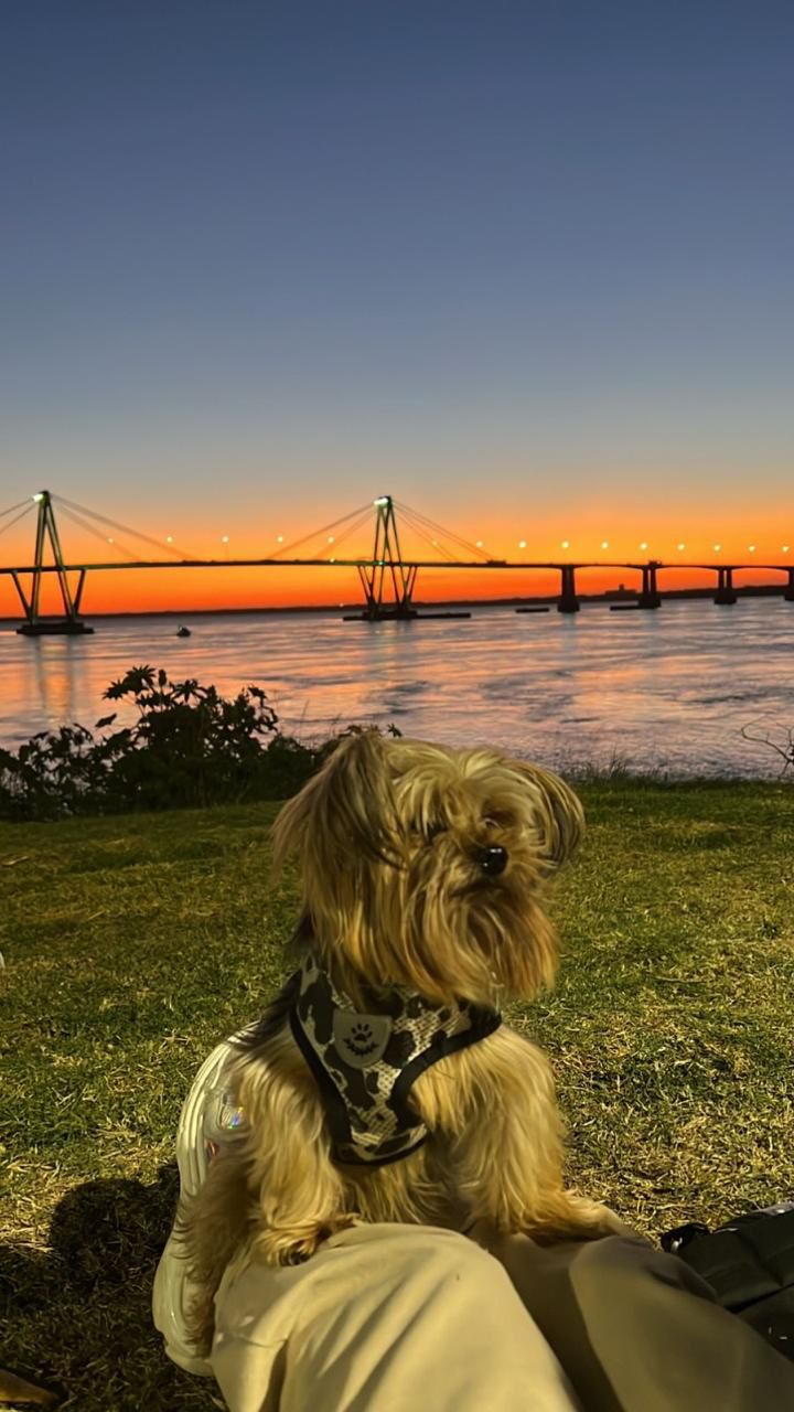 En este momento estás viendo Popey